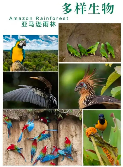 1756980320391130.png image.png