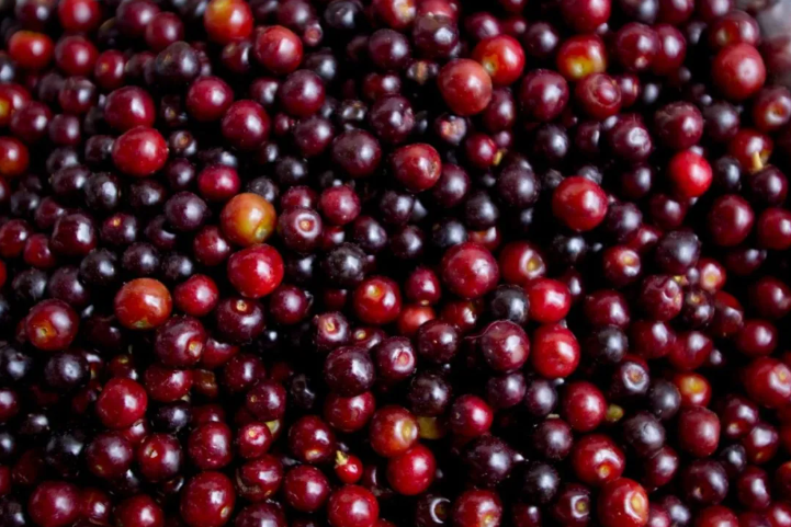 1756980404977779.png image.png